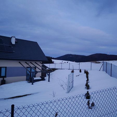 Blizejgorcow Villa Lubomierz  Dış mekan fotoğraf